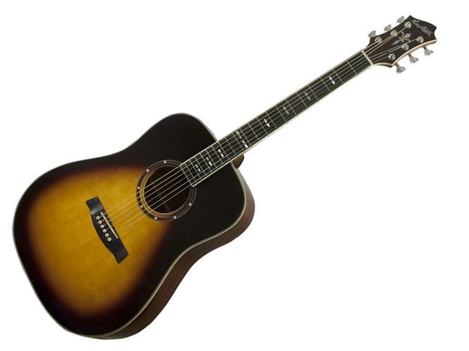Hovedbilde Hagström Siljan Dreadnought - Black Gloss