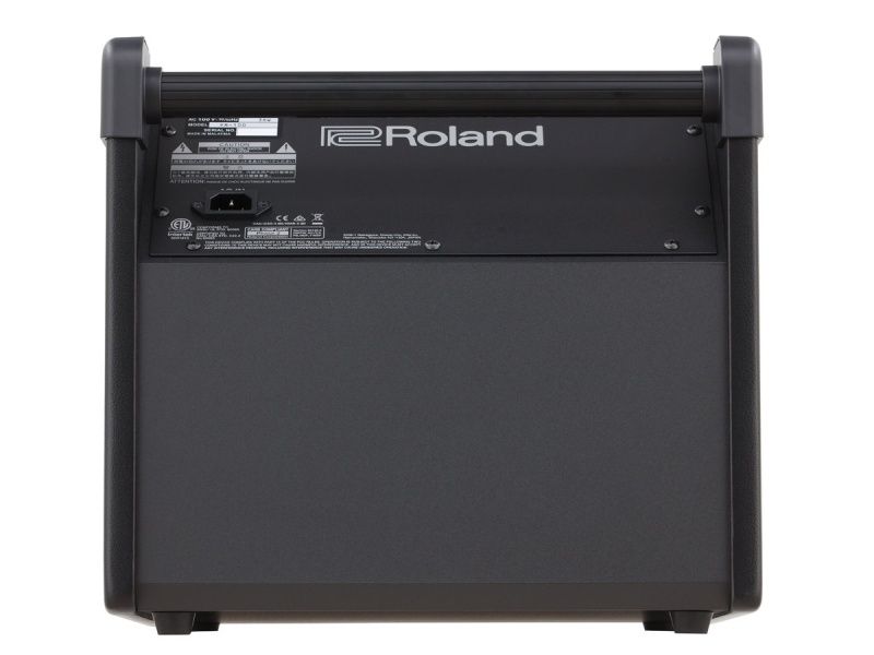 Roland PM-100 Personal Monitor